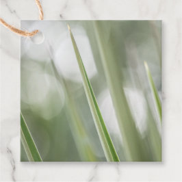 Foto för grönt poety Plant Nature Gåvor Etiketter