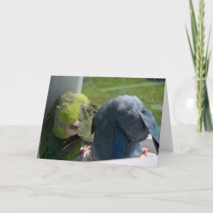 Foto för humushälsningskort för Parrotlet Birds Hu Kort