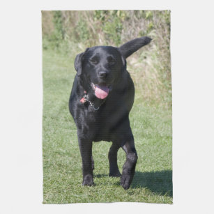 Foto för hund för svart för Labrador Retriever Kökshandduk