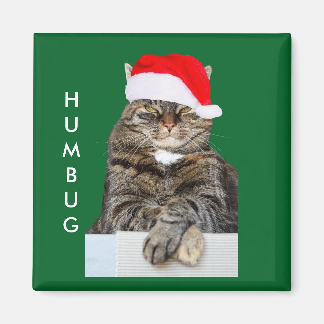Foto för julkattHumbug med den Santa hatten Magnet (Framsidan)