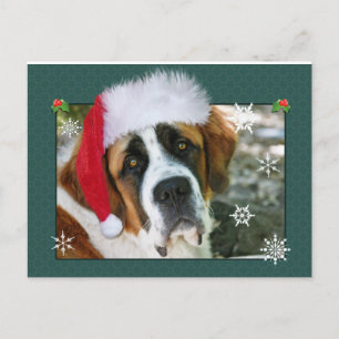 Foto för julSt Bernard hund Helg Vykort