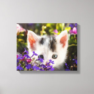 Foto för katt för gullig kattungevår blommor canvastryck