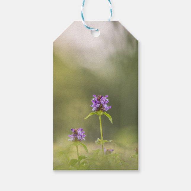 Foto för lila blommans natur presentetikett (Framsidan)