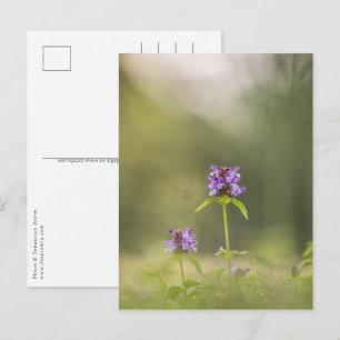 Foto för lila blommans natur vykort