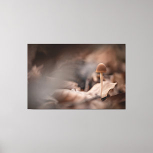 Foto för liten svamp canvastryck