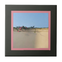 Foto för lugnens ögonblick