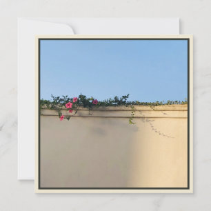 Foto för lugnens ögonblick tack kort