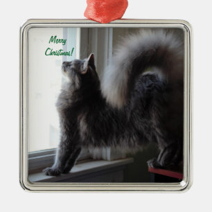 Foto för Maine Coonkatt Julgransprydnad Metall