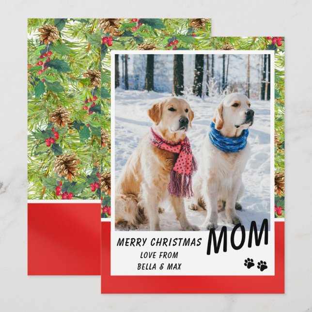 Foto för Modern Gräs Blommigt i Hund God jul (Fram/baksida)