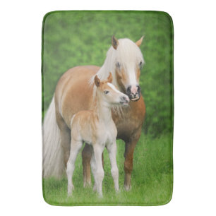 Foto för morsa för kyss för föl för Haflinger Badrumsmatta