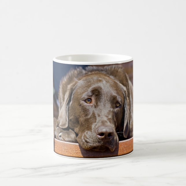 Foto för närbild för chokladLabrador Retriever Kaffemugg (Center)