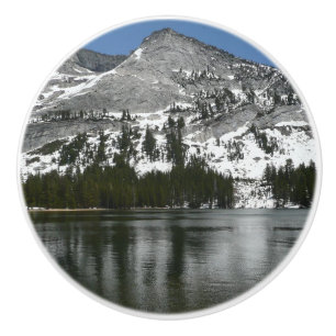 Foto för nationalparken Snowy Tenaya Sjö Yosemite Knopp