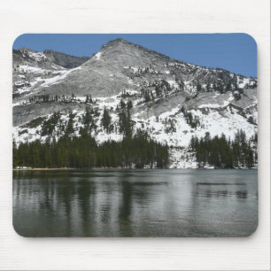 Foto för nationalparken Snowy Tenaya Sjö Yosemite Musmatta