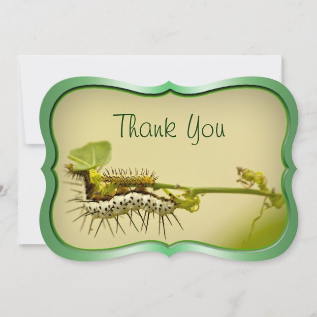 Foto för natur "för tack" - Caterpillar Closeup. Tack Kort (Framsida)