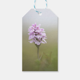 Foto för orchid Natature Presentetikett