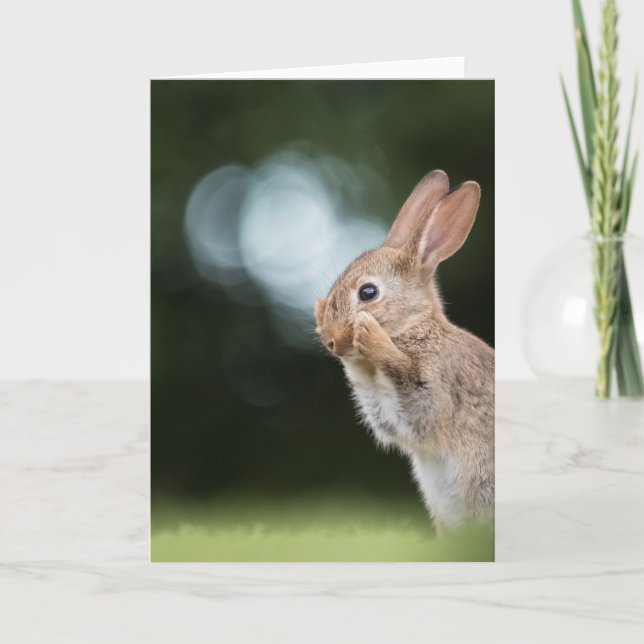 Foto för påskharns natur kort (Framsida)