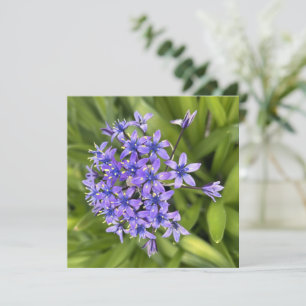 Foto för portugisiska bläckblommor Closeup Nature Anteckningskort