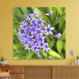 Foto för portugisiska bläckblommor Closeup Nature Canvastryck