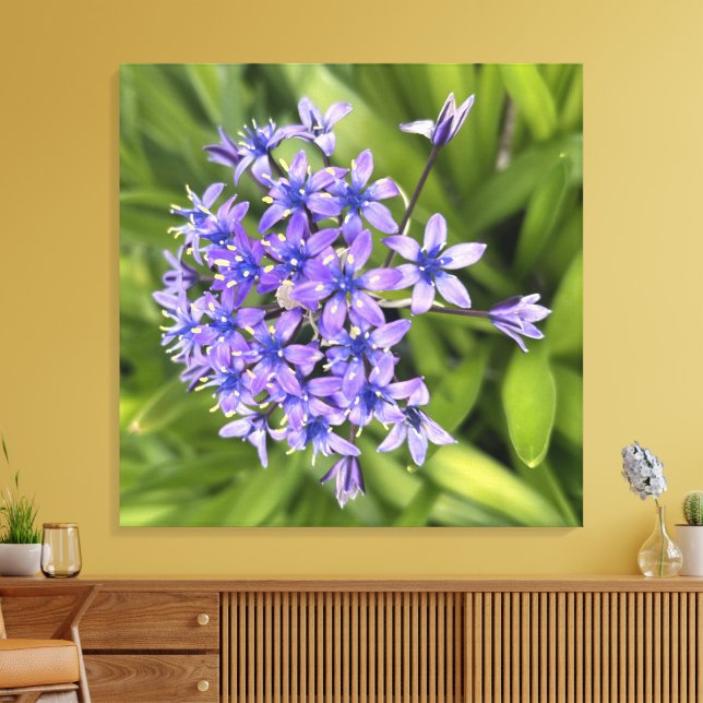 Foto för portugisiska bläckblommor Closeup Nature Canvastryck (Insitu (Vardagsrum))