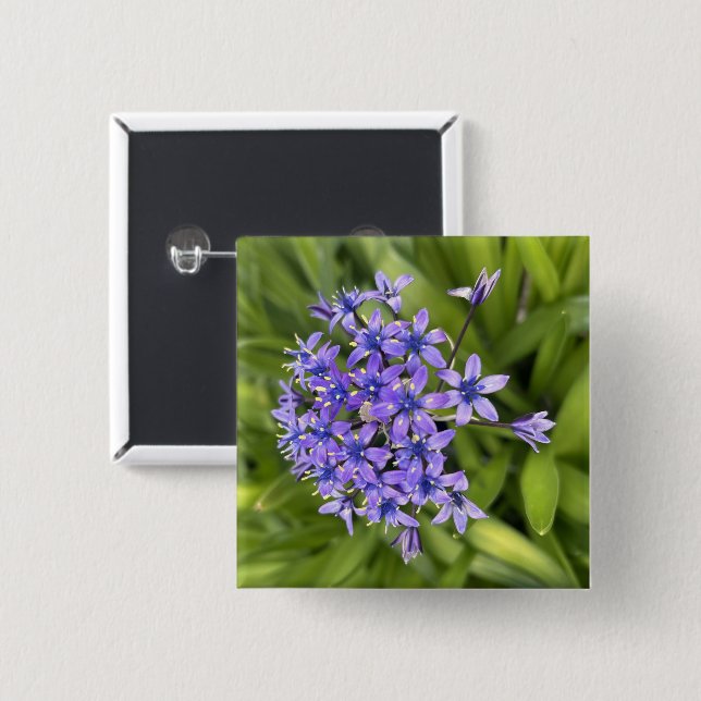 Foto för portugisiska bläckblommor Closeup Nature Knapp (Framsida & baksida)