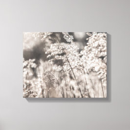 Foto för Reed Nature Canvastryck