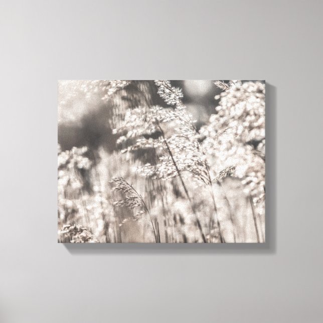 Foto för Reed Nature Canvastryck (Framsida)