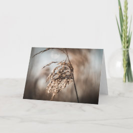 Foto för Reed Nature Kort