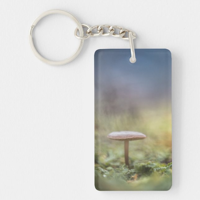 Foto för regnigt myshroom Natature (Framsidan)