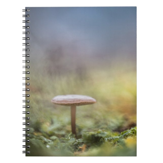 Foto för regnigt myshroom Natature Anteckningsbok (Framsidan)