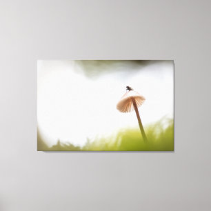 Foto för regnigt myshroom Natature Canvastryck