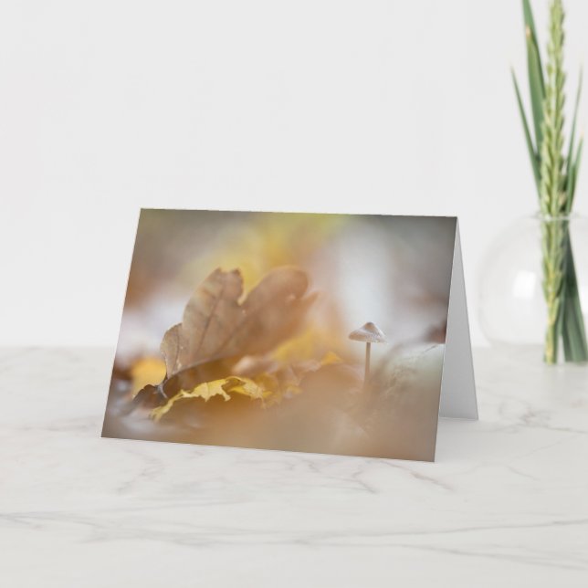 Foto för regnigt myshroom Natature Kort (Framsida)