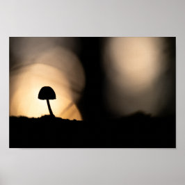 Foto för regnigt myshroom Natature Poster