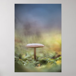Foto för regnigt myshroom Natature Poster