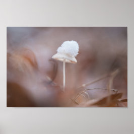 Foto för regnigt myshroom Natature Poster