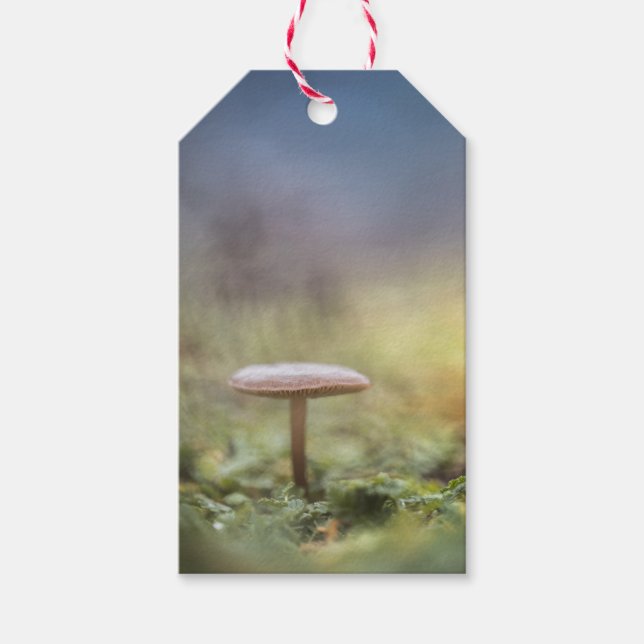 Foto för regnigt myshroom Natature Presentetikett (Framsidan)