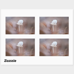 Foto för regnigt myshroom Natature Rektangulärt Klistermärke