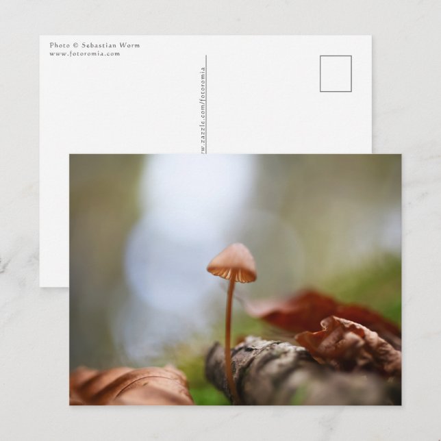 Foto för regnigt myshroom Natature Vykort (Fram/baksida)