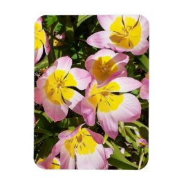 Foto för rosa och Gula blommor Magnet