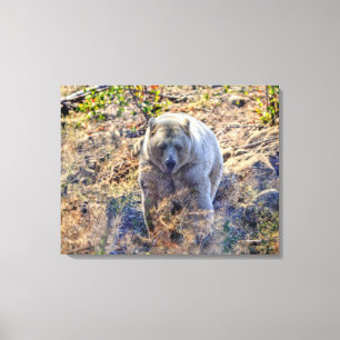 Foto för sällsyntets kermode-björn (Spirit Bear) Canvastryck