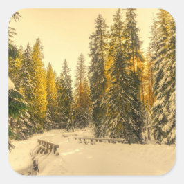 Foto för skogsnatur i Gräs täckt av snö Fyrkantigt Klistermärke