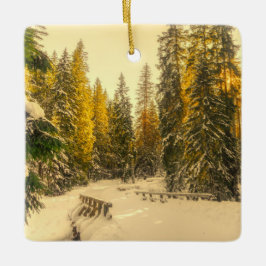 Foto för skogsnatur i Gräs täckt av snö Julgransprydnad Keramik