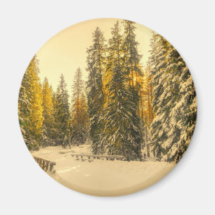 Foto för skogsnatur i Gräs täckt av snö Magnet