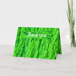 Foto för skörd av Grönt av gräsutsäde Tack Kort