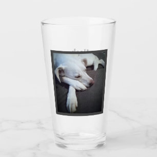 Foto för snabb återställning av kvarvarande Hund - Glaskopp
