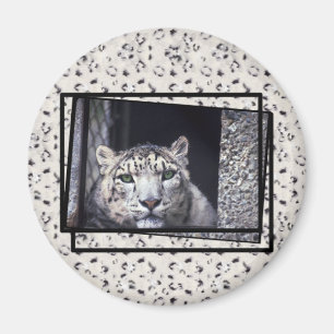 Foto för snöLeopard Magnet