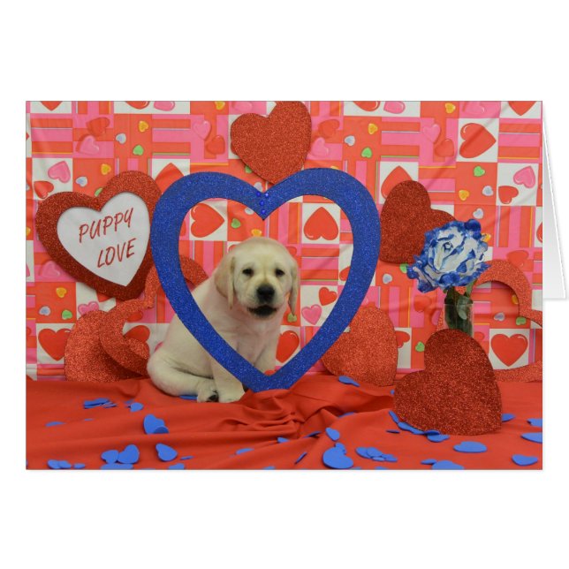 Foto för snöstormvecka 6 hälsningskort (Framsidan Horizontal)