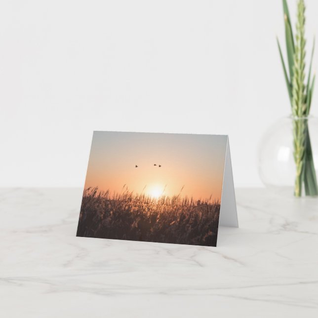 Foto för soluppgång Reed Natature Kort (Framsida)