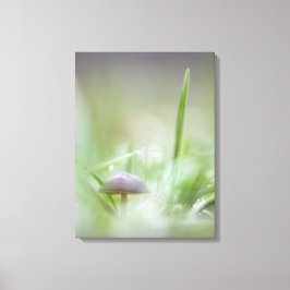 Foto för svamp Natature Canvastryck