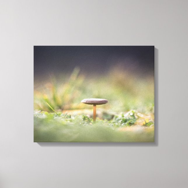 Foto för svamp Natature Canvastryck (Framsida)