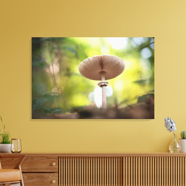 Foto för svamp Natature Canvastryck (Insitu (Vardagsrum))